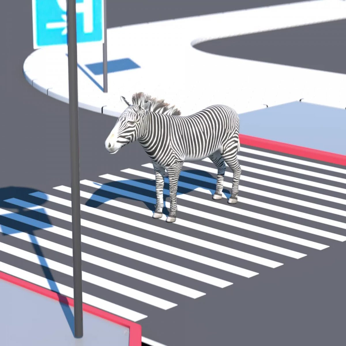 Пешеходная Зебра