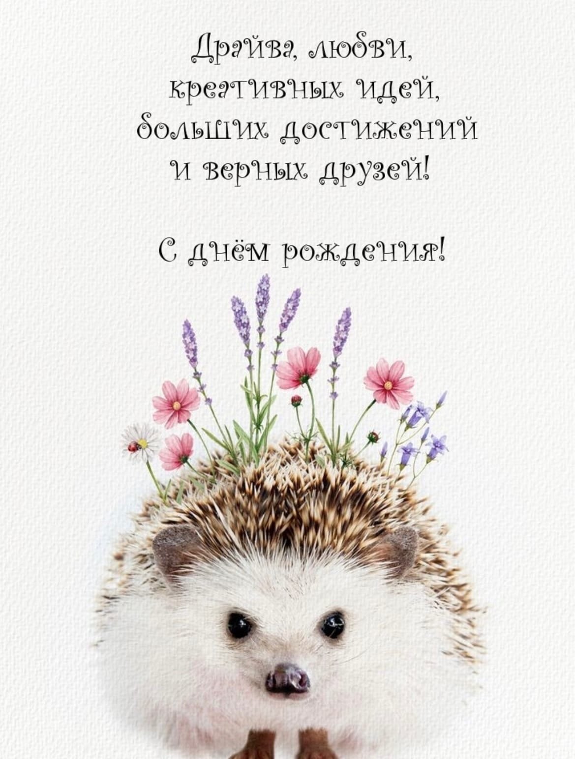 С днём рождения сватья