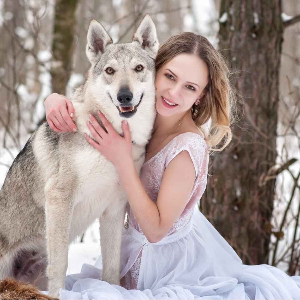 Фотосессия с волком