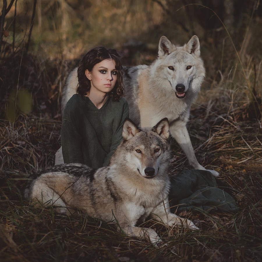 Влюбленные волки
