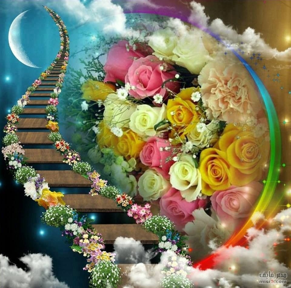 Пожелания радости жизни