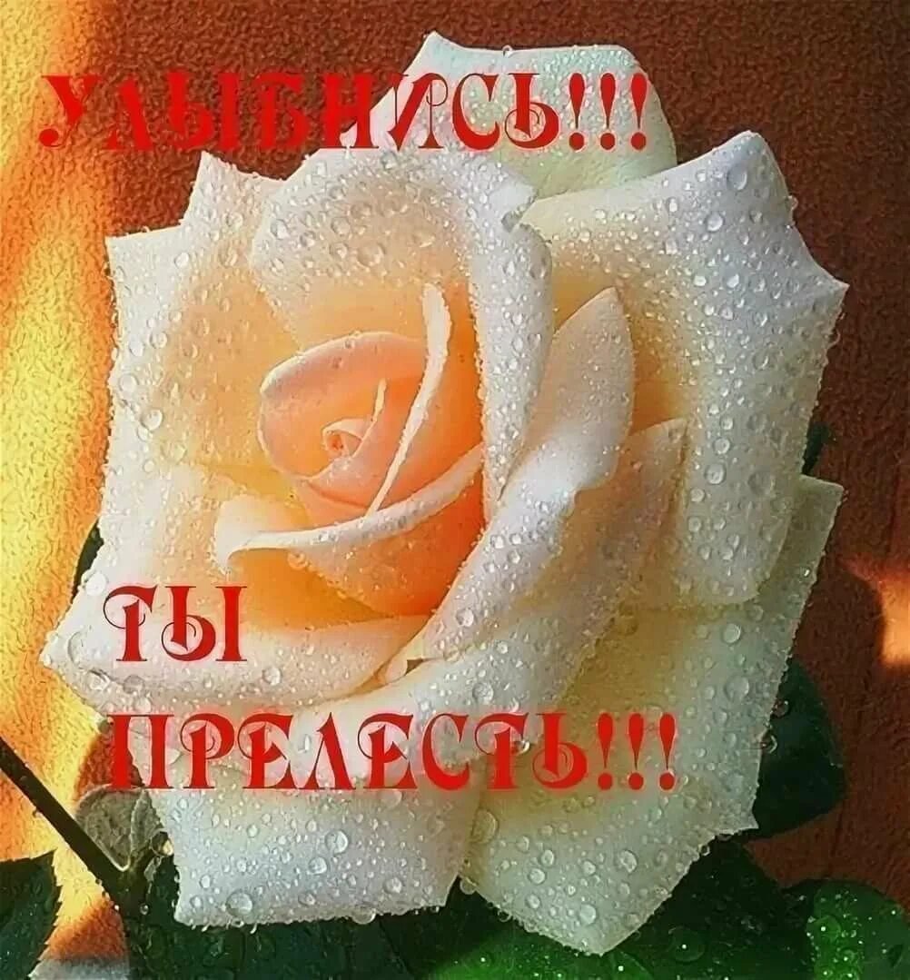 Открытка комплименты