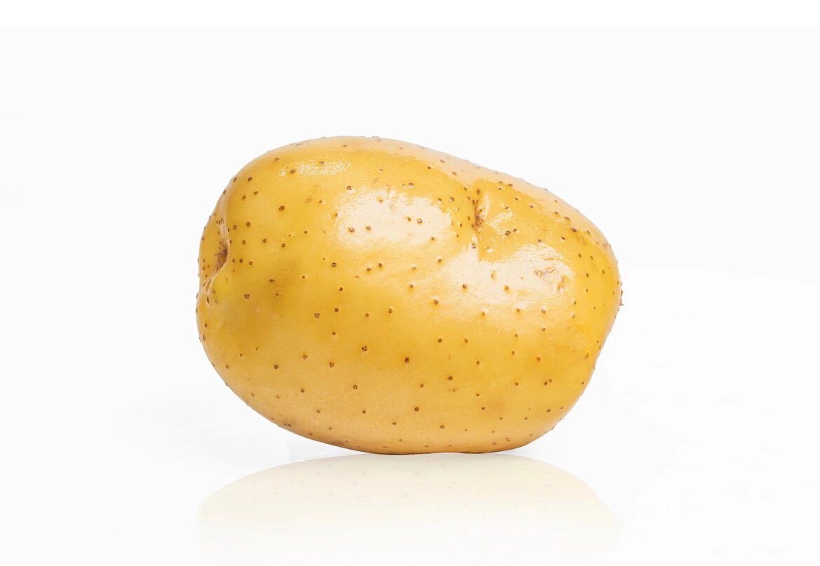 Картофель один на белом фоне