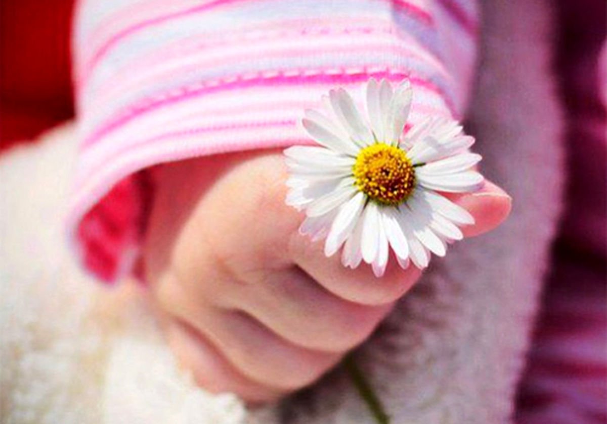 Ребенок с цветком в руках