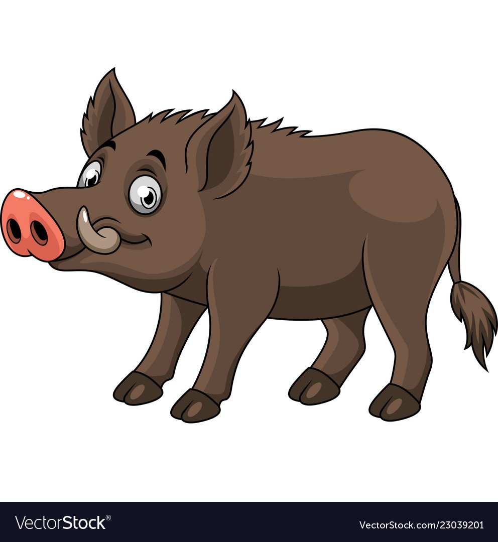 Дикий кабан вектор