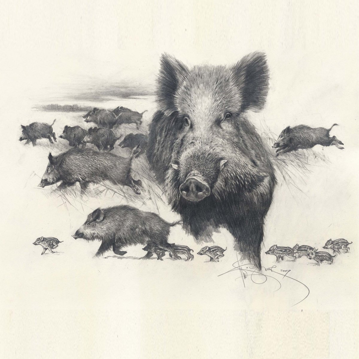 Кабан в графике