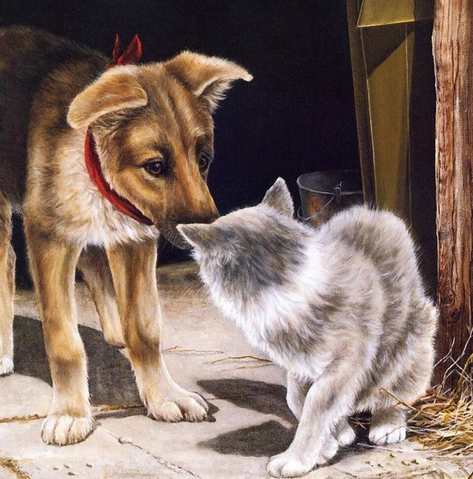 Художник Shirley Deaville