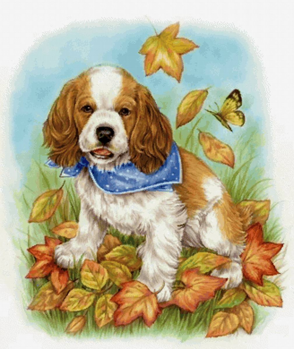 Открытка кокер спаниель с цветами