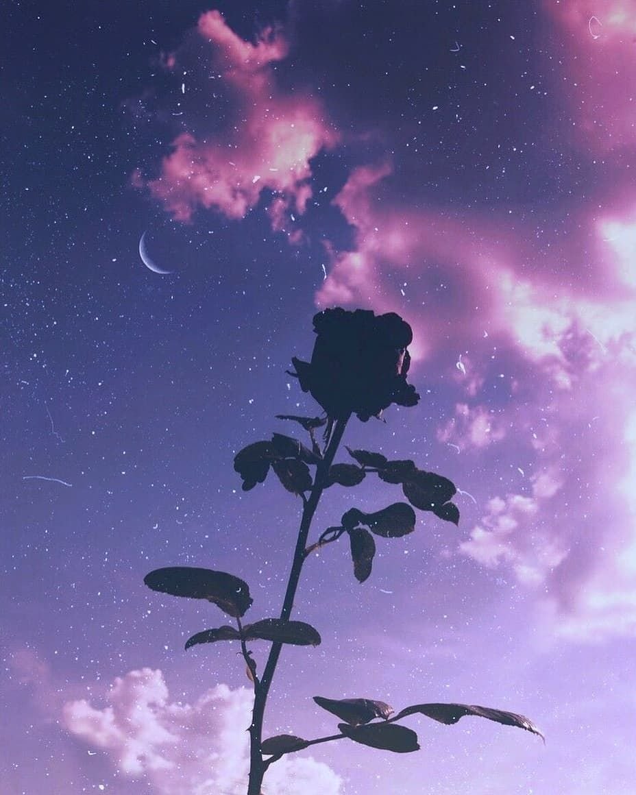 Черные обои с сердечками