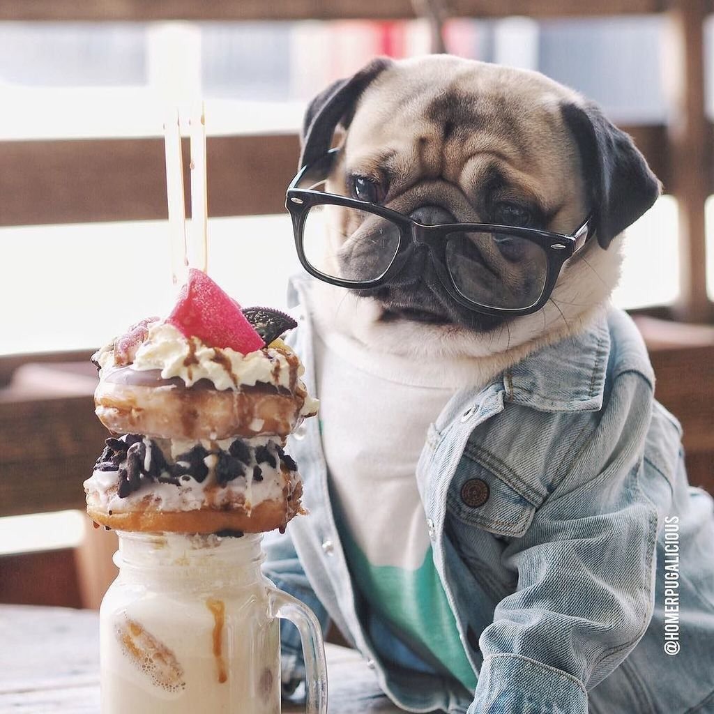 Банни рэббит