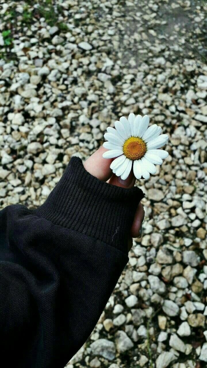 Классные черные обои на телефон