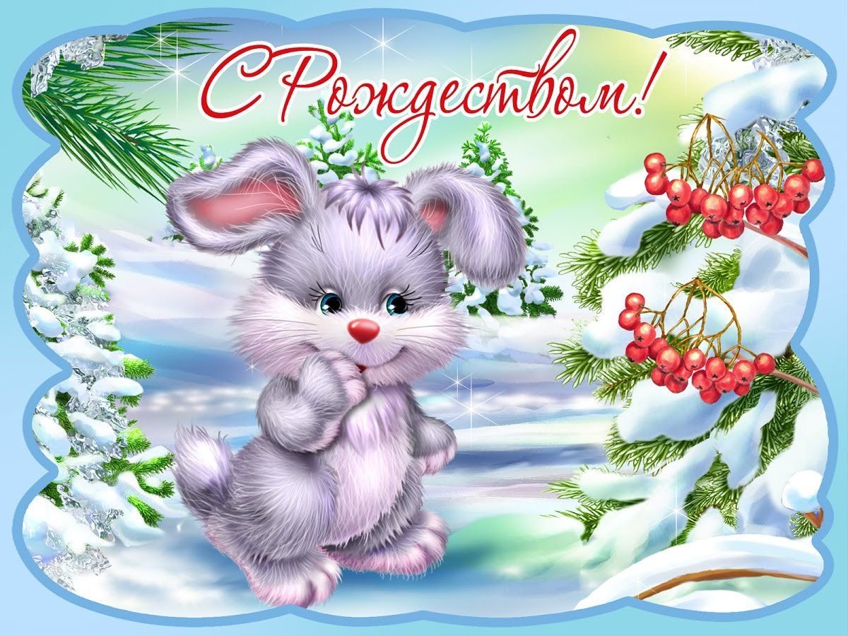 Розовые розы на снегу