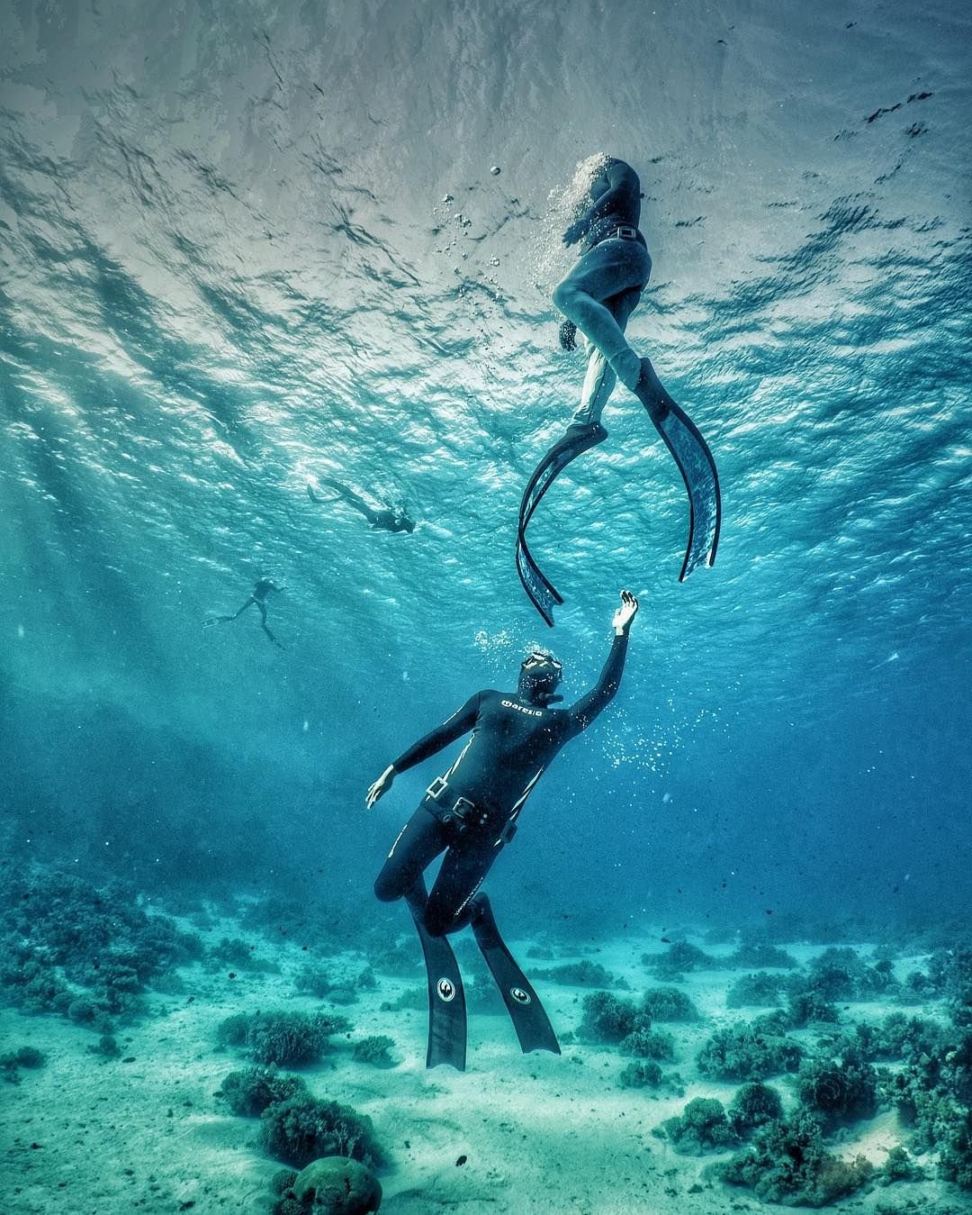 Дайвинг и фридайвинг