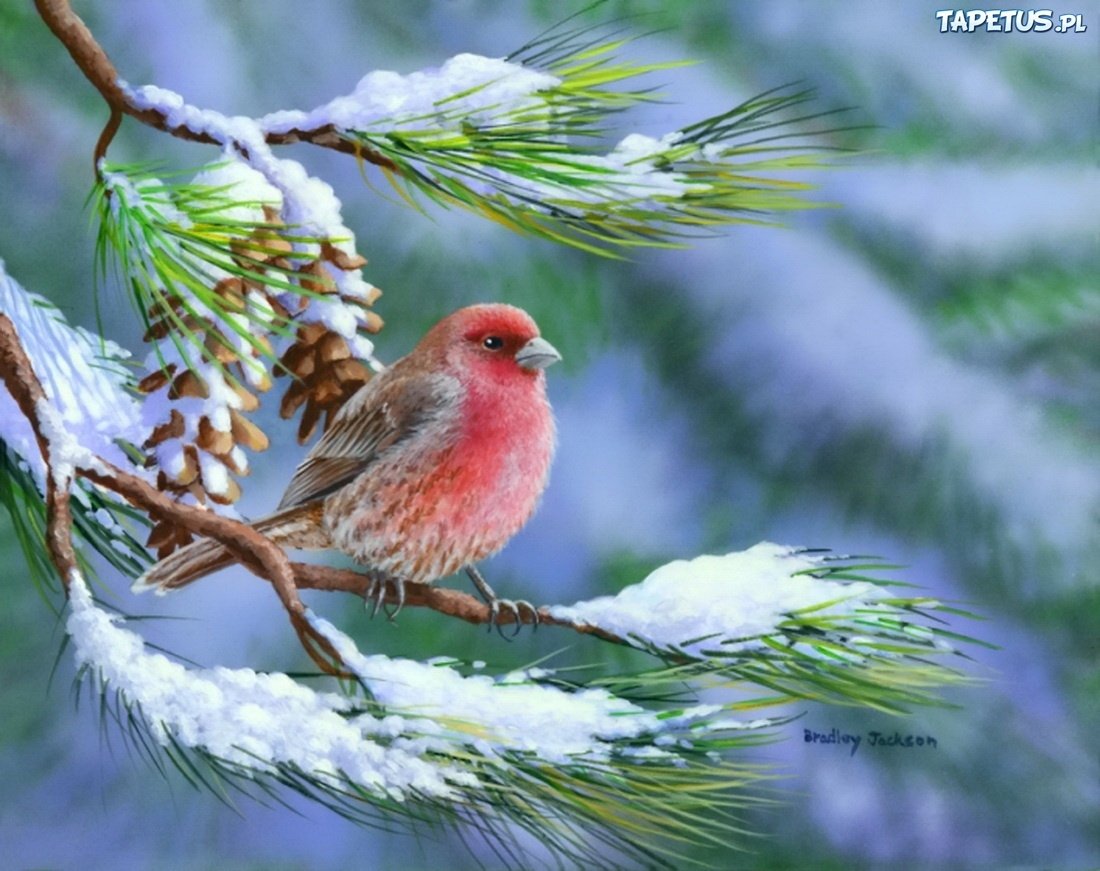 Открытки зимний букет для тебя