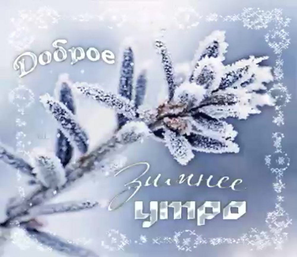 Художница Dona Gelsinger