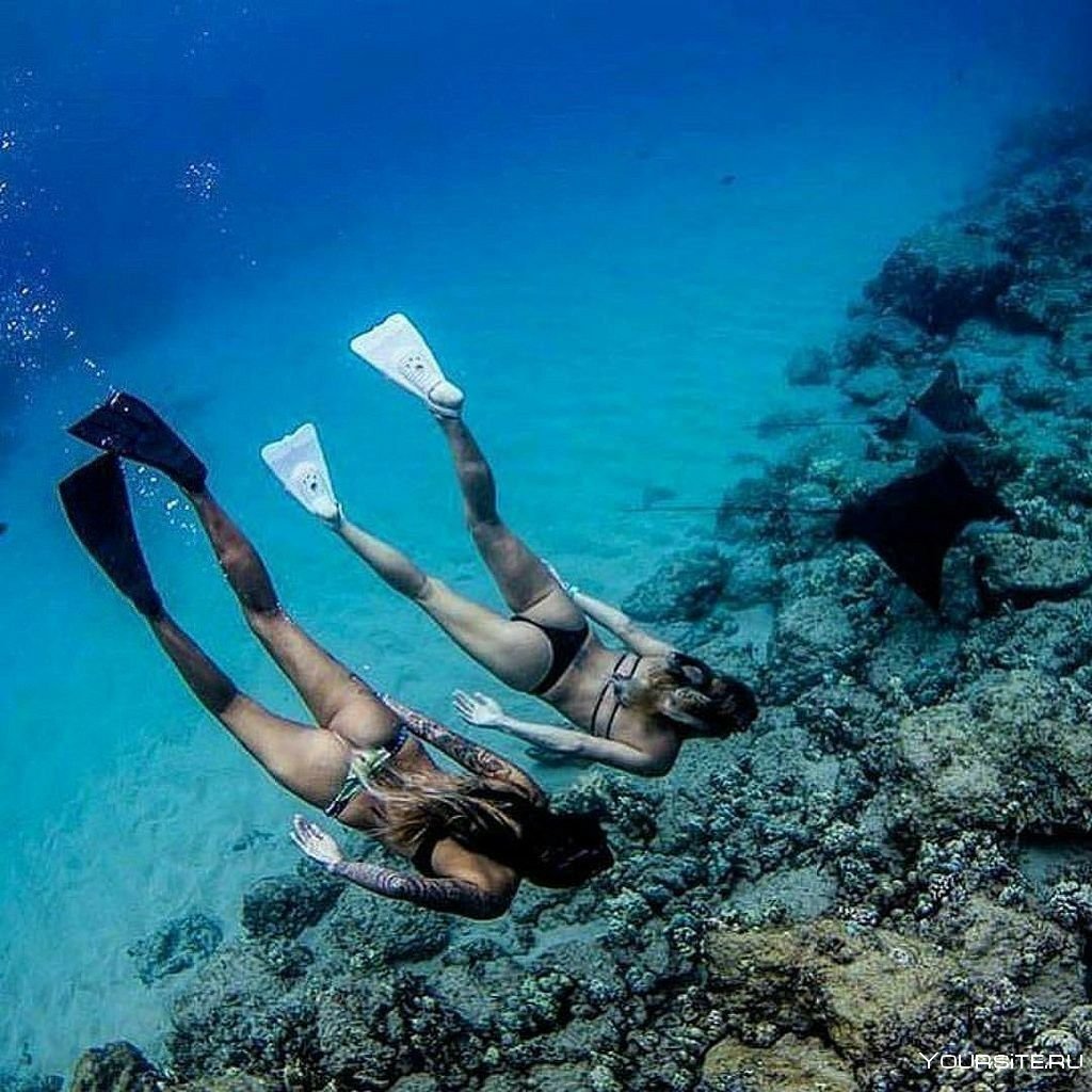 Кусто ныряльщицы