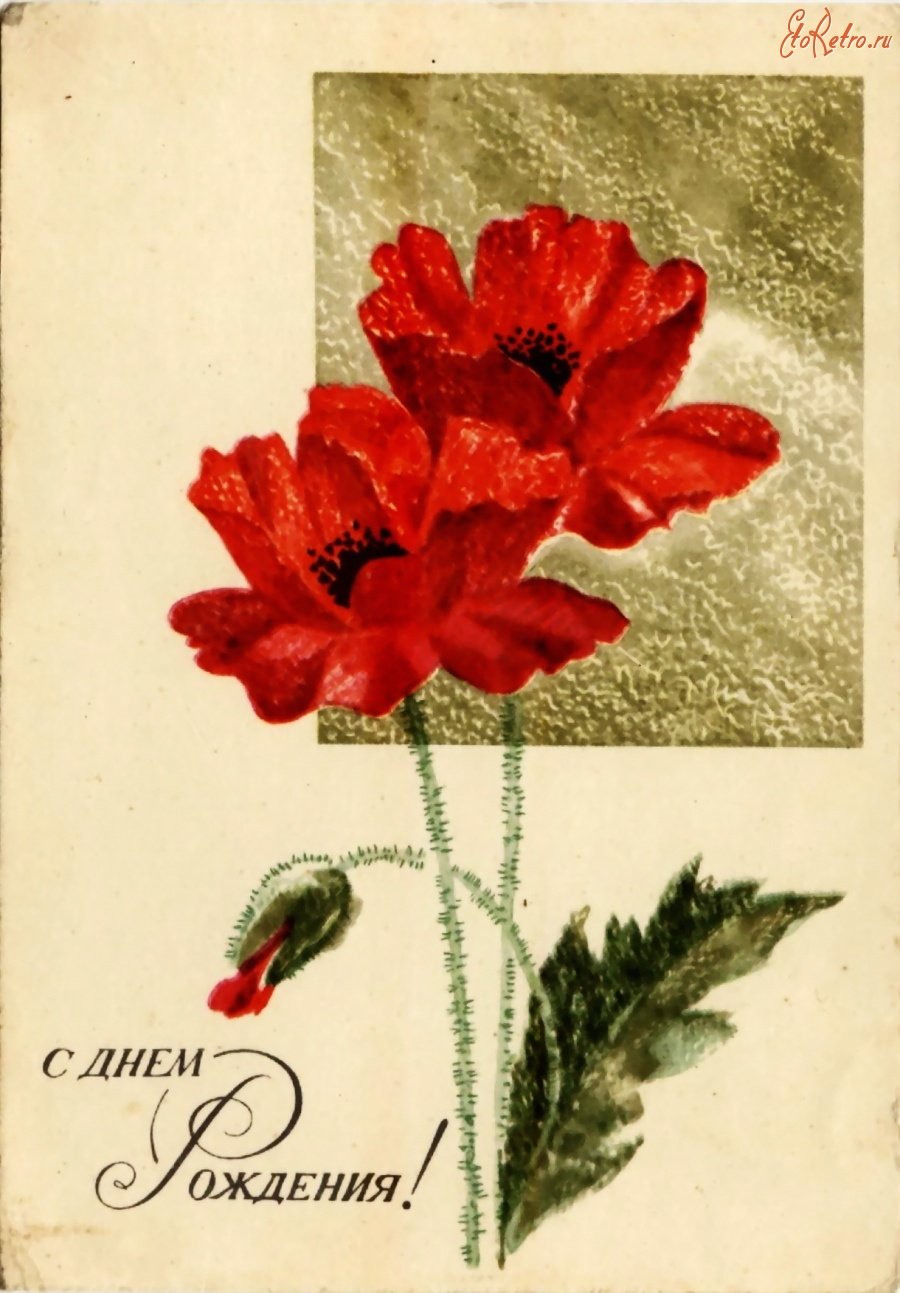 Советские открытки с маками