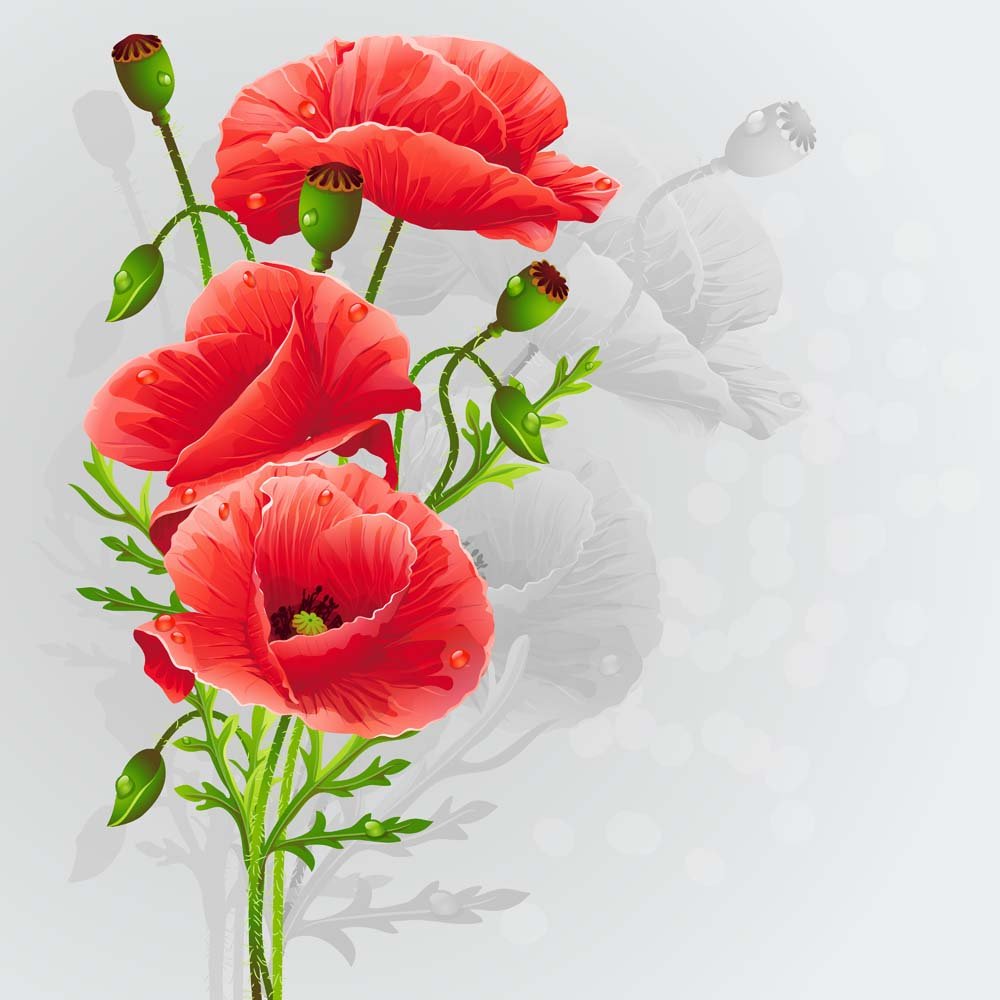 С днём рождения маки