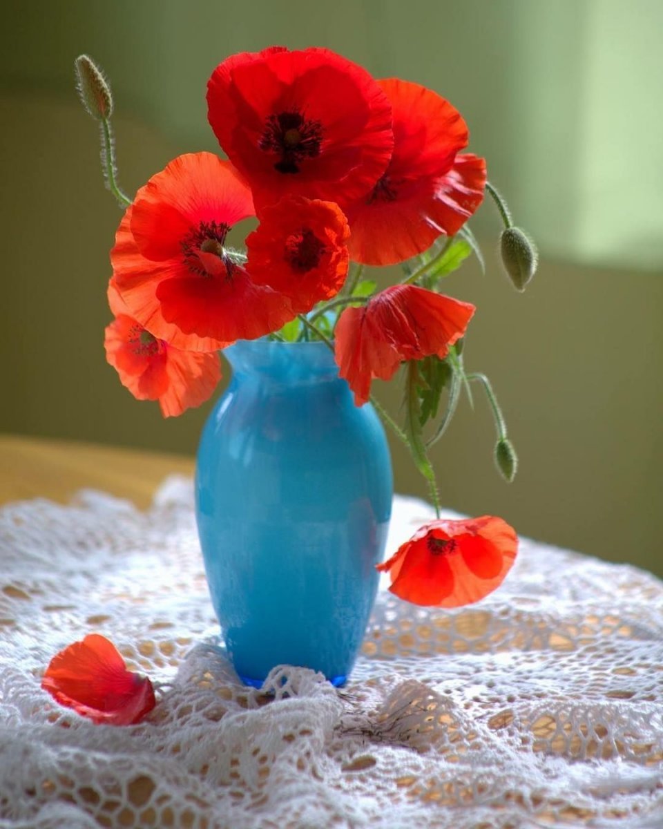 Букет из маков