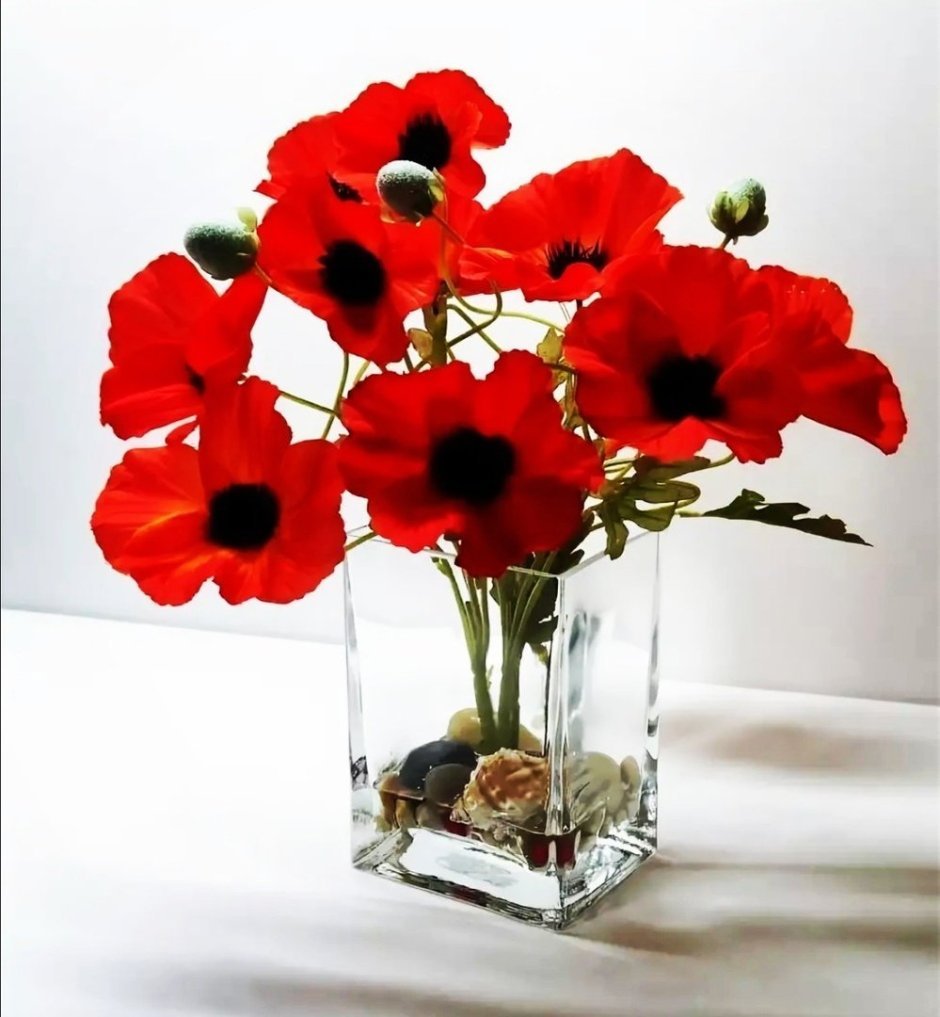 Красный цветок