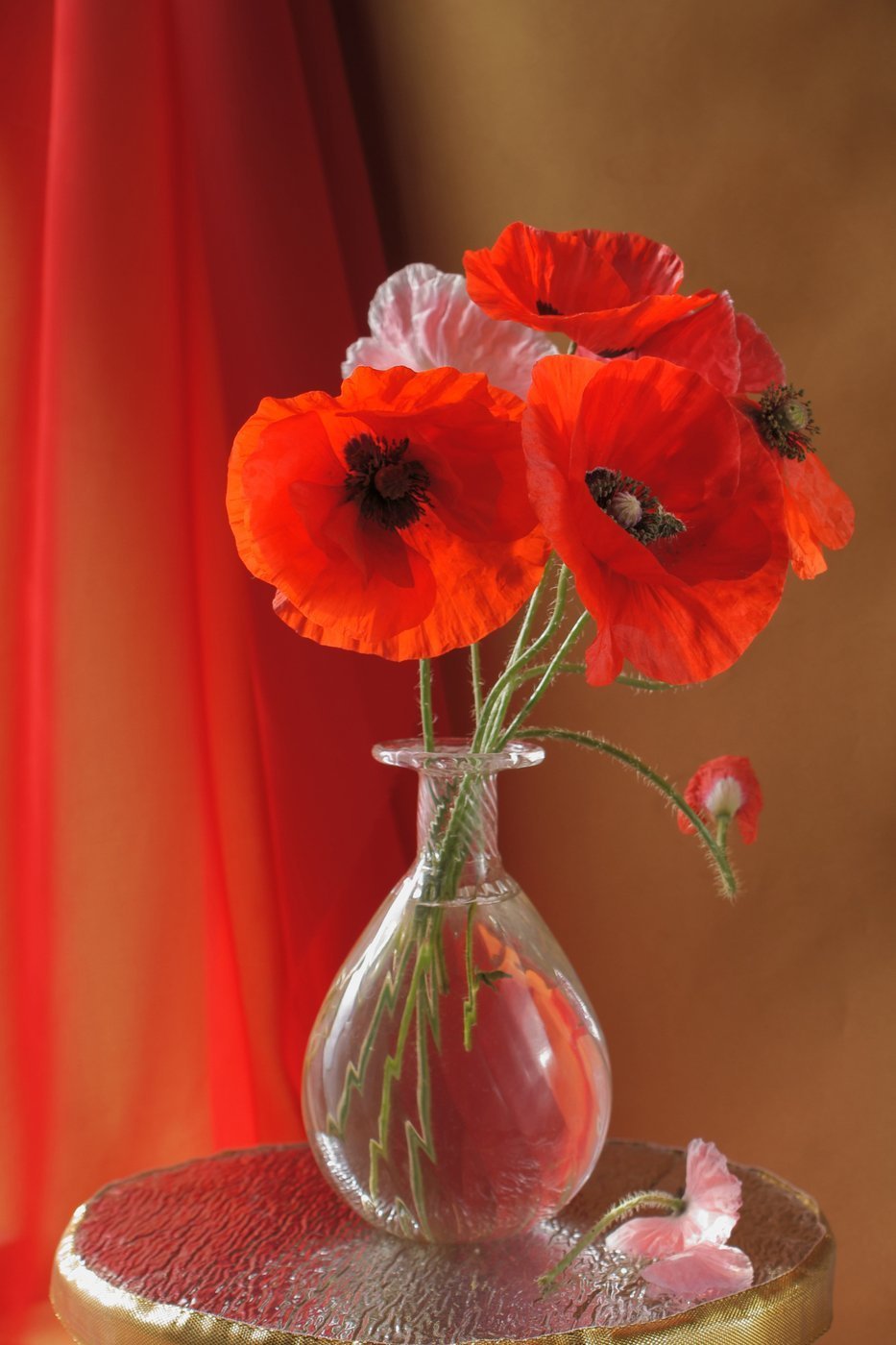 Анимированная открытка с маками