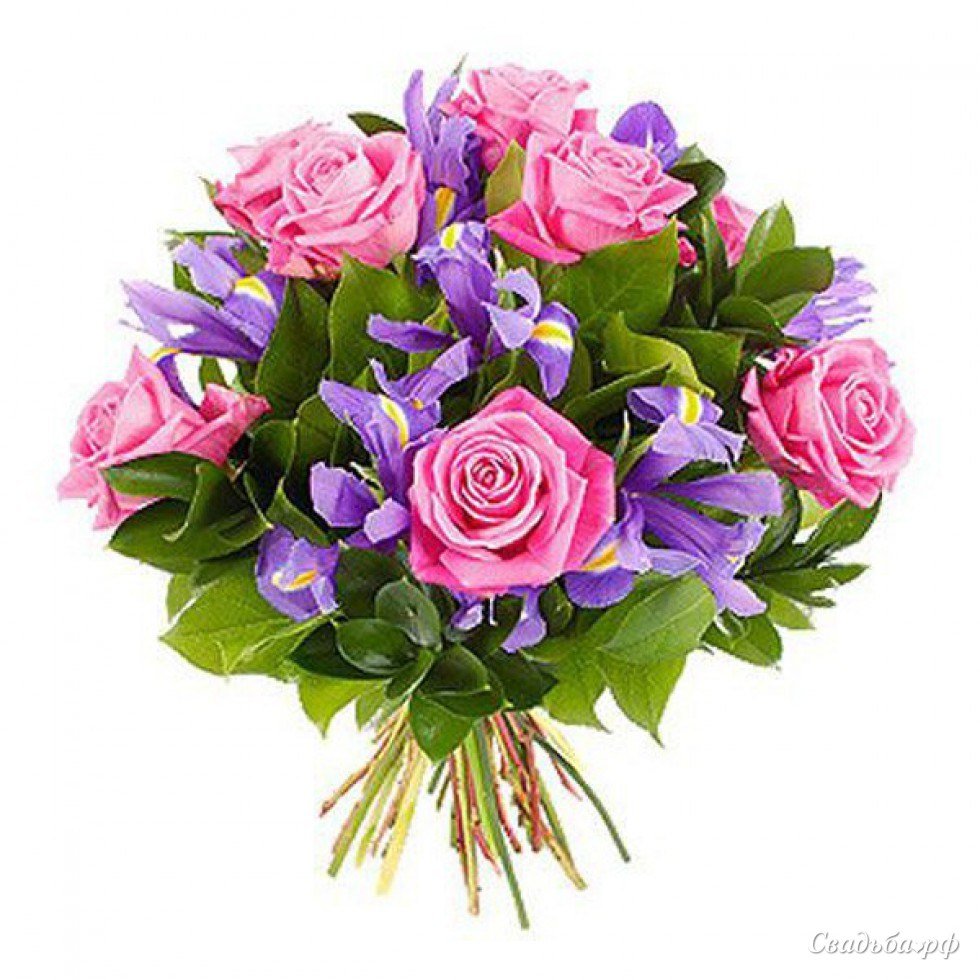 Поздравить Дашу с днем рождения