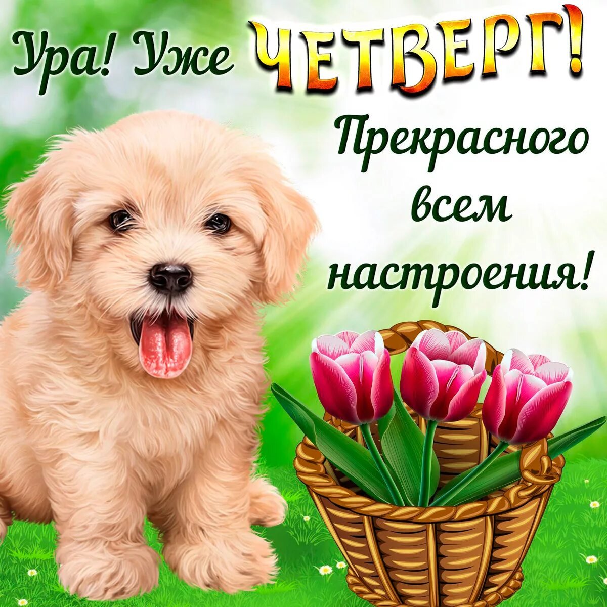 Открытки с четвергом