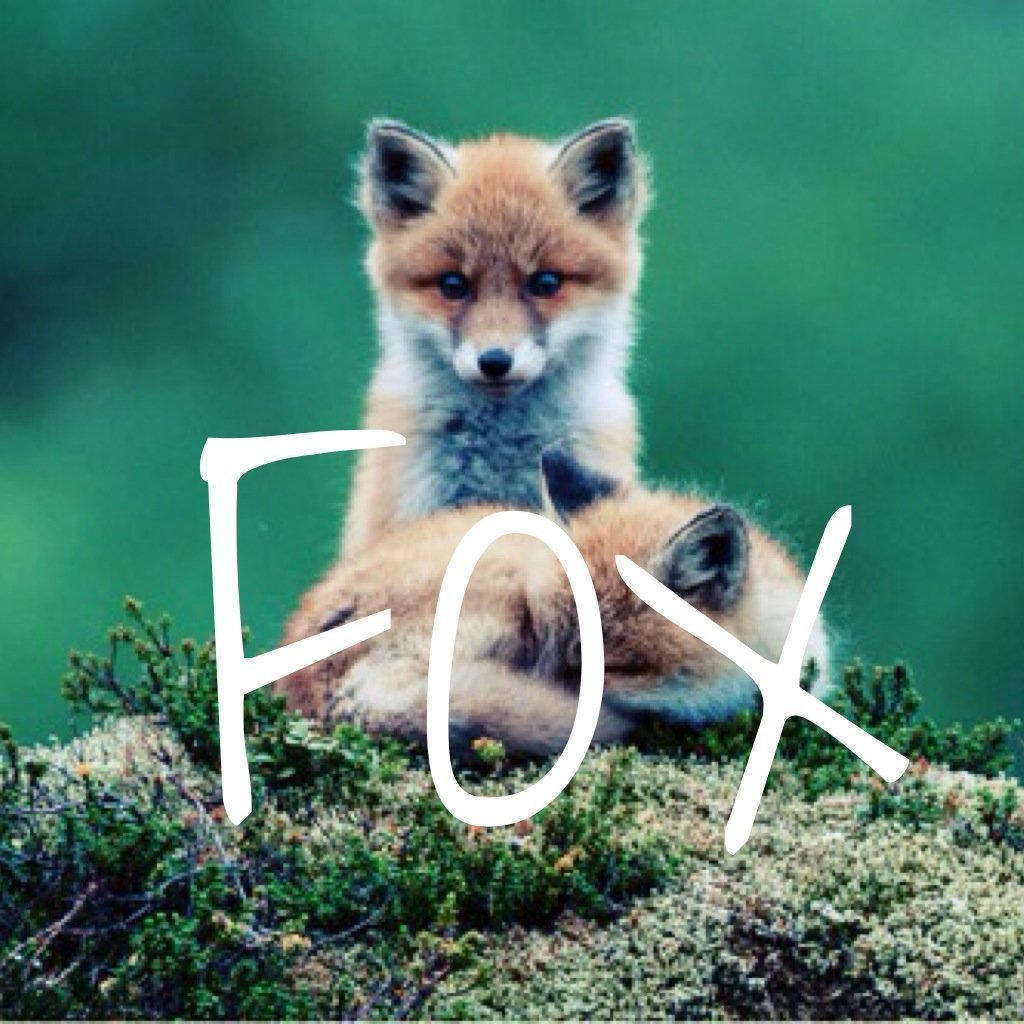 Милые мультяшные лисята