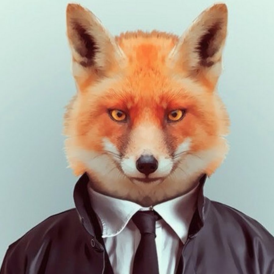 Домашняя лиса Джунипер