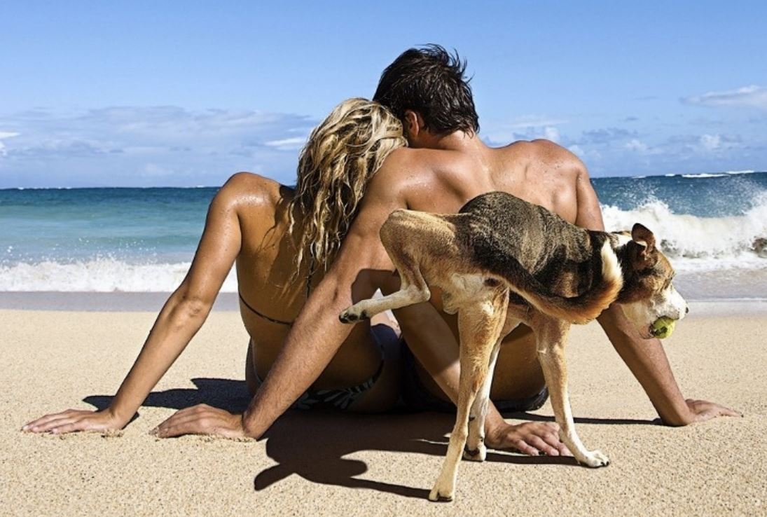 Прикольные цитаты про женщин