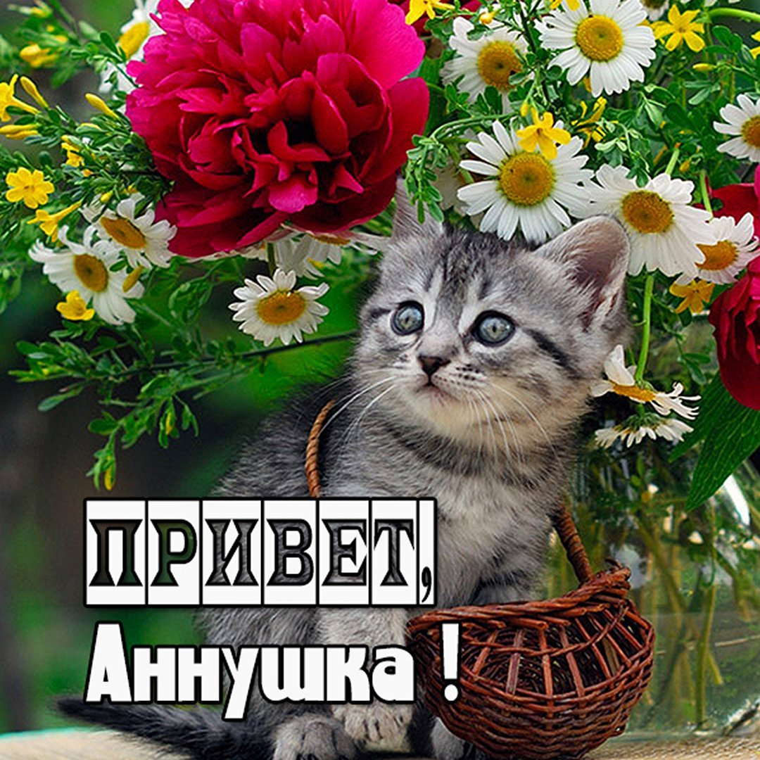 Привет Александра