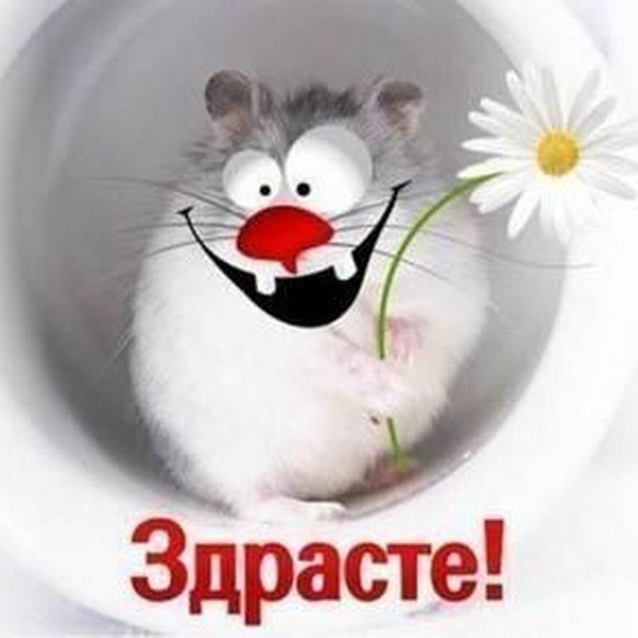 Здрасьте прикол