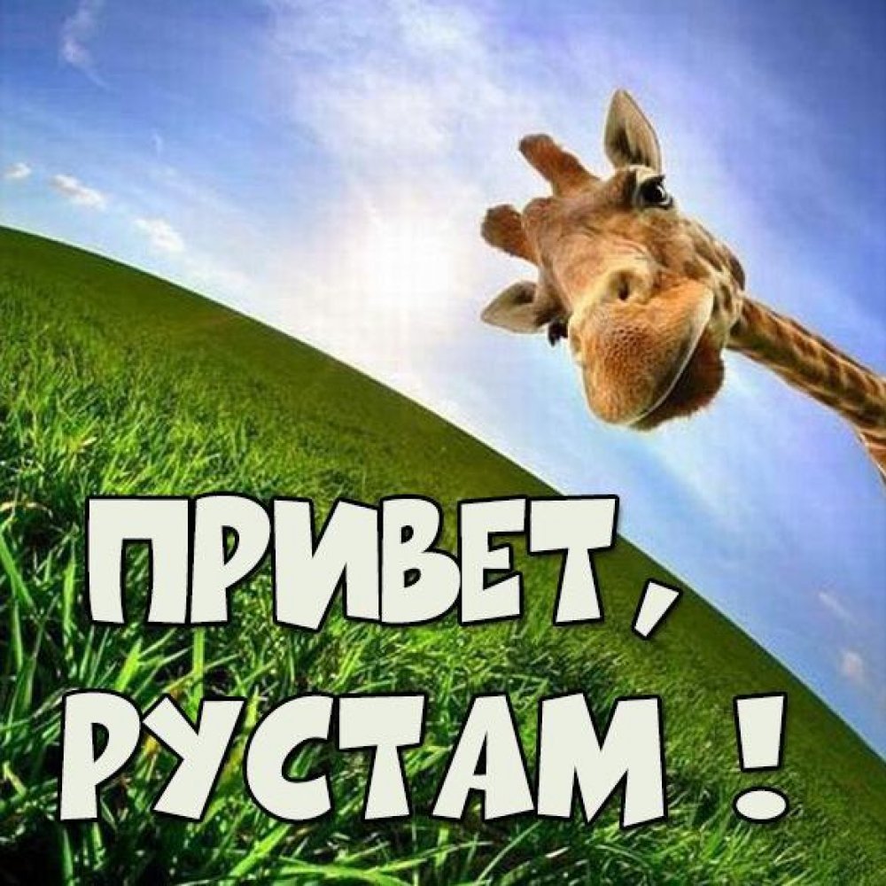 Привет Светка