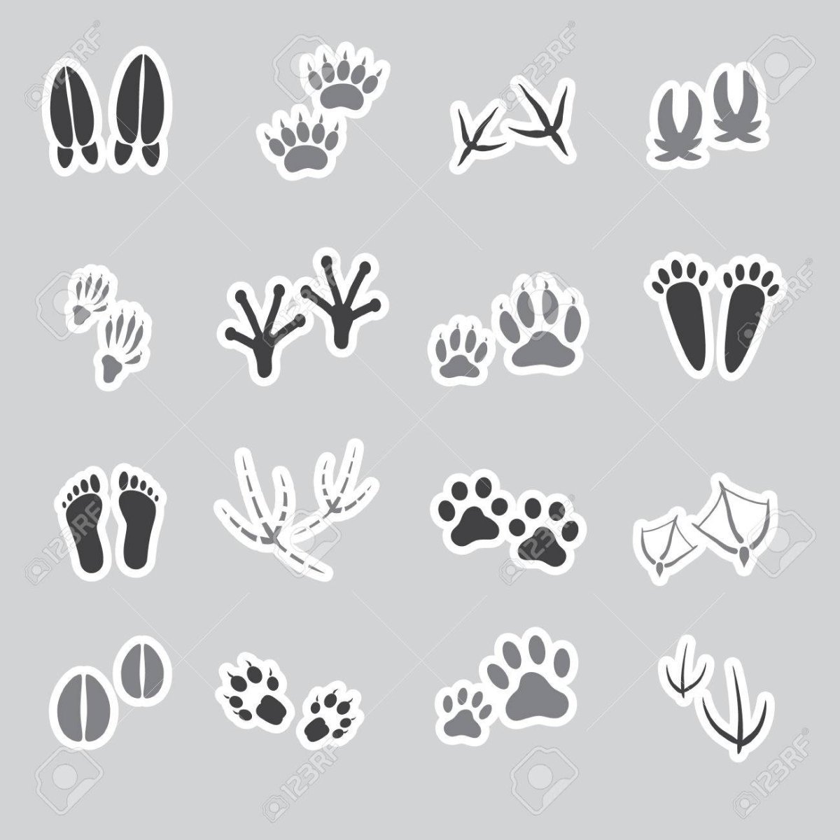 Наклейки следы животных