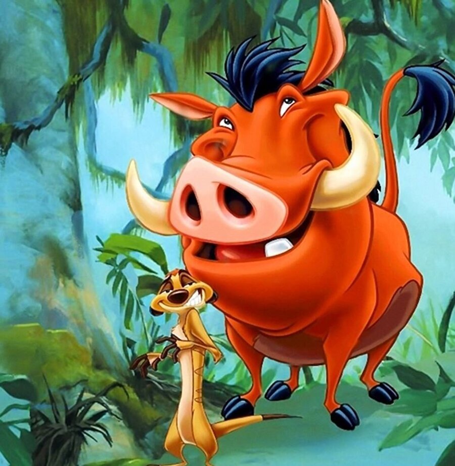 Акуна Матата герои