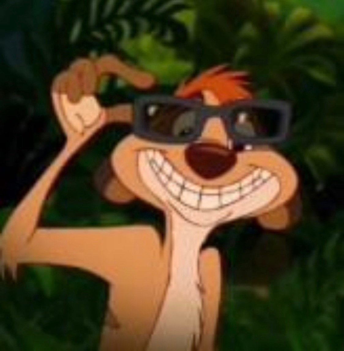 Тимон и Пумба мультсериал кадры