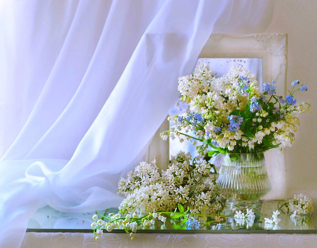 Колова Валентина фотограф