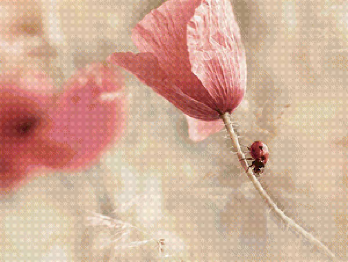 Нежные картинки