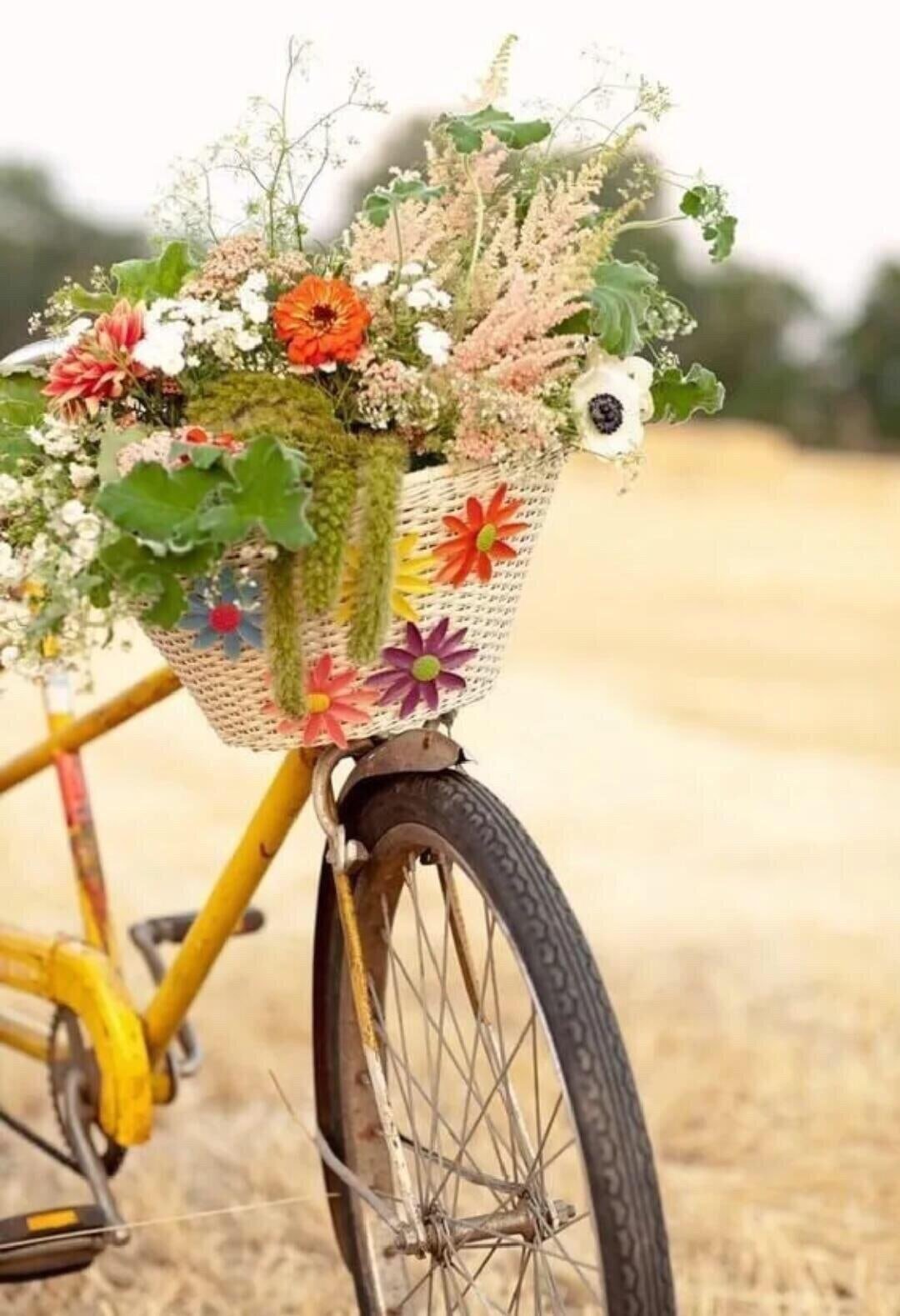 Велосипед с корзиной цветов