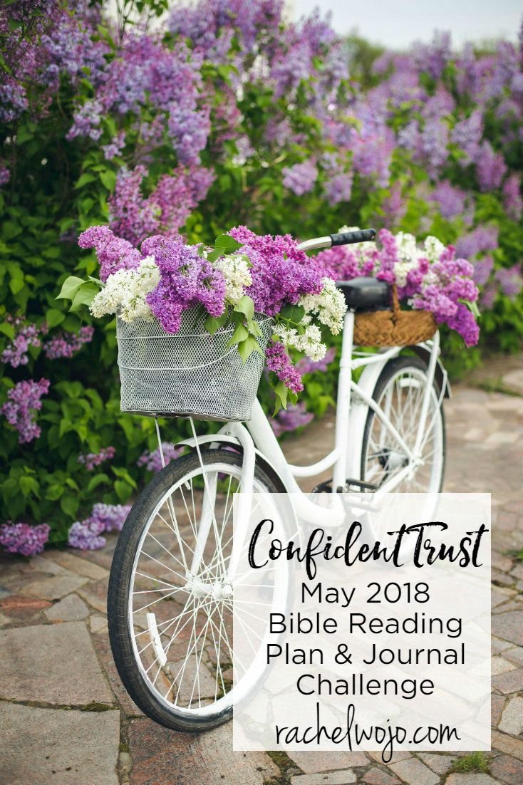 Сирень велосипед