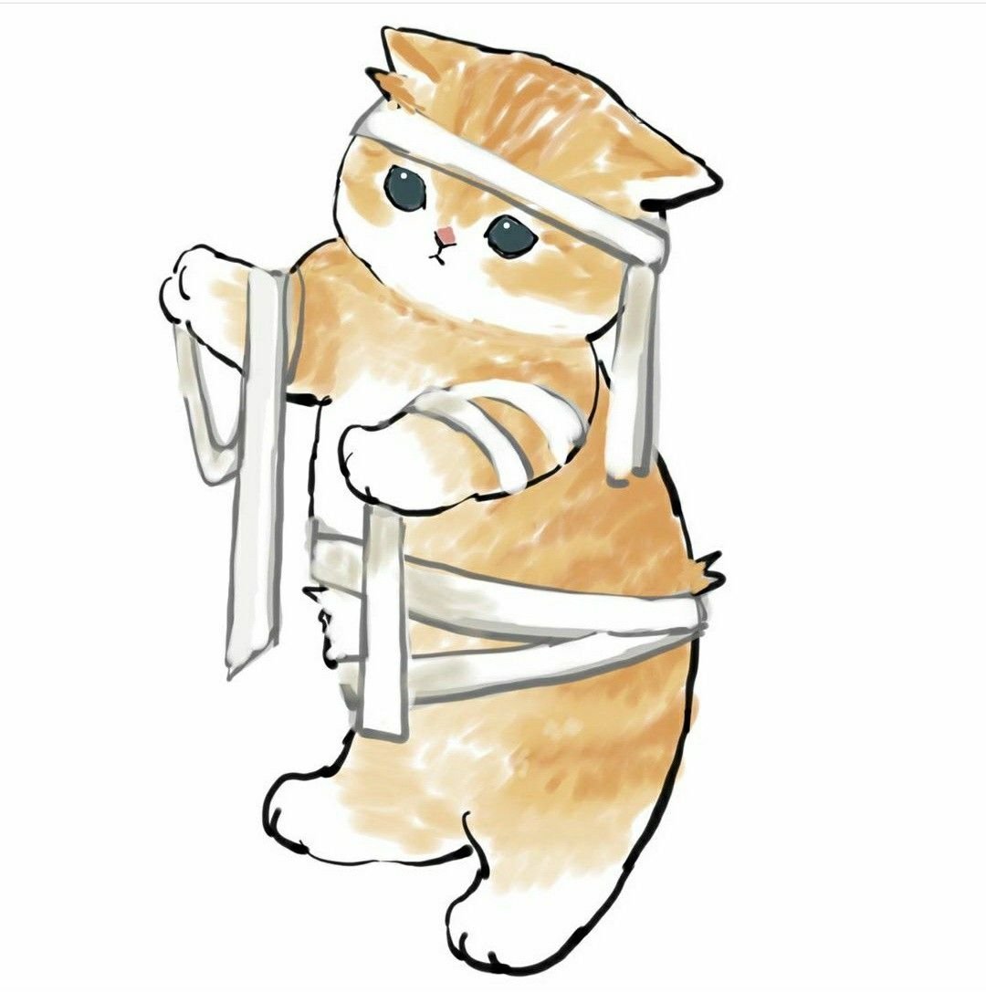 Акула кошка арт