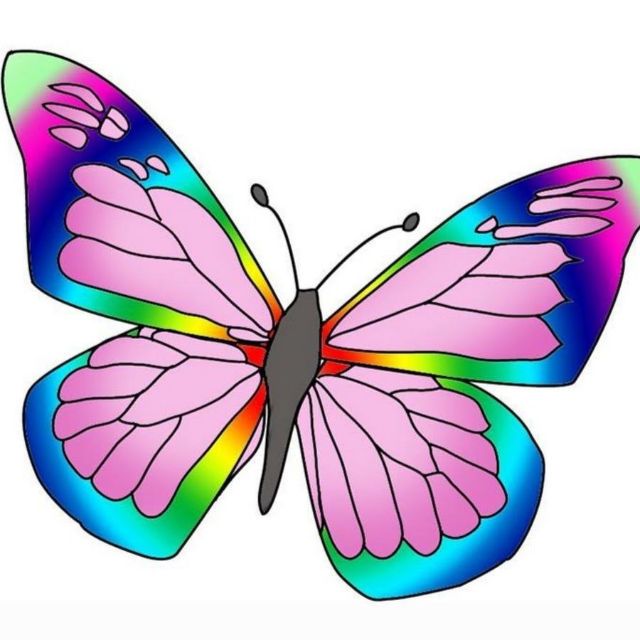 Зеленая бабочка на прозрачном фоне