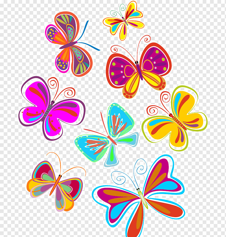 Красивая бабочка рисунок