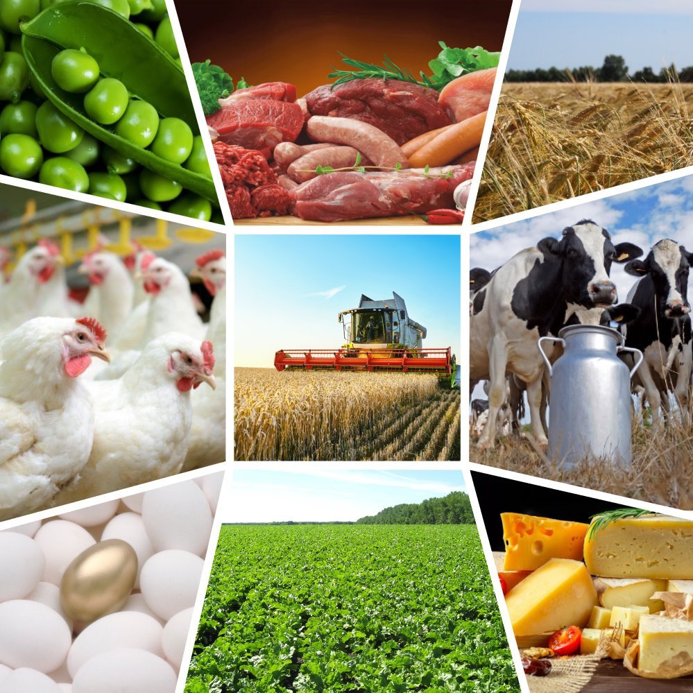 Сельское хозяйство и агропромышленный комплекс