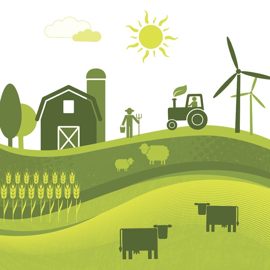 Сельское хозяйство вектор