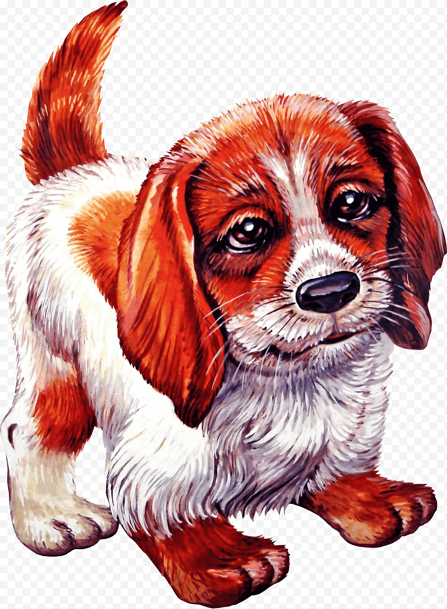 Домашние животные для детей