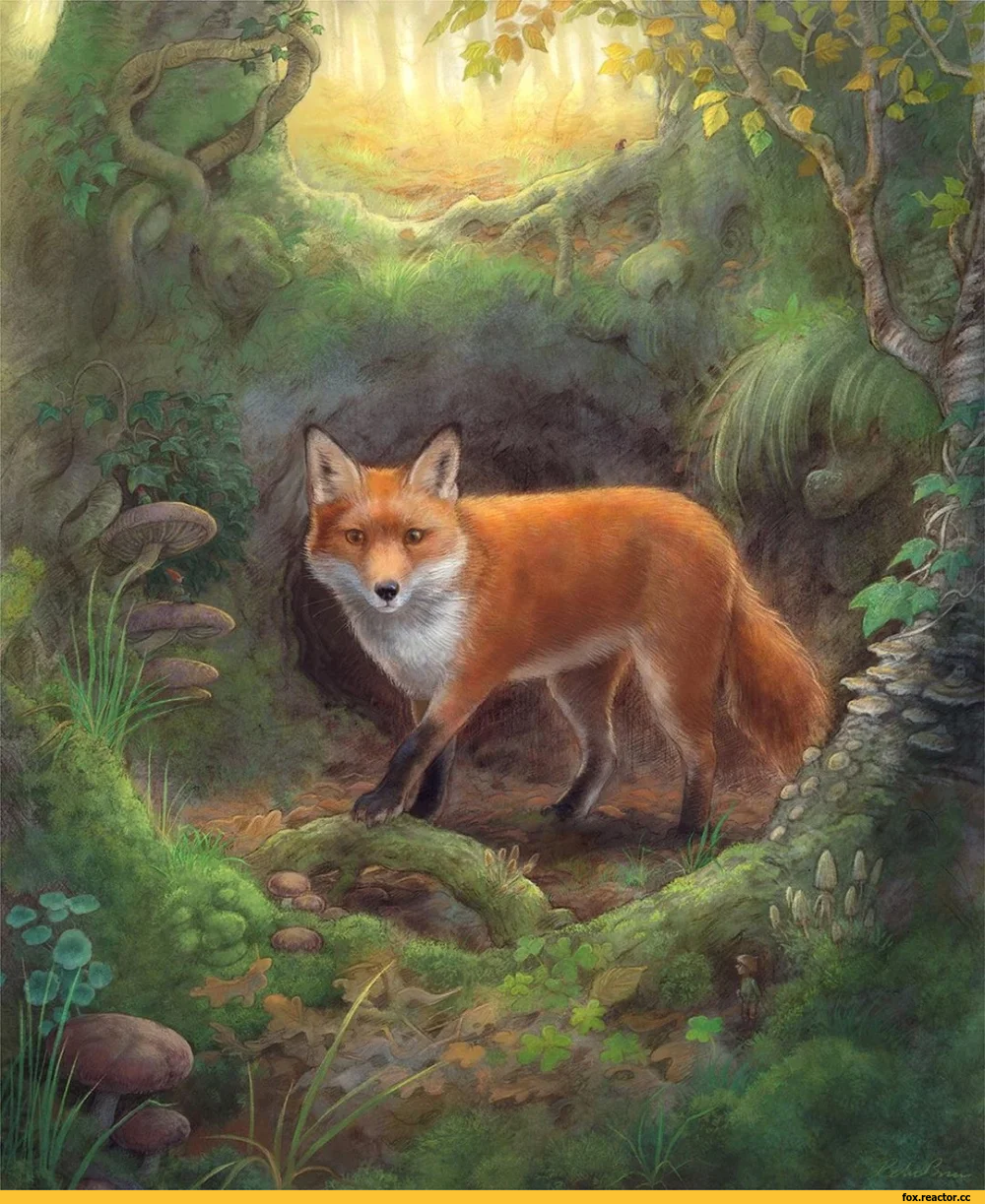 Лис в лесу арт
