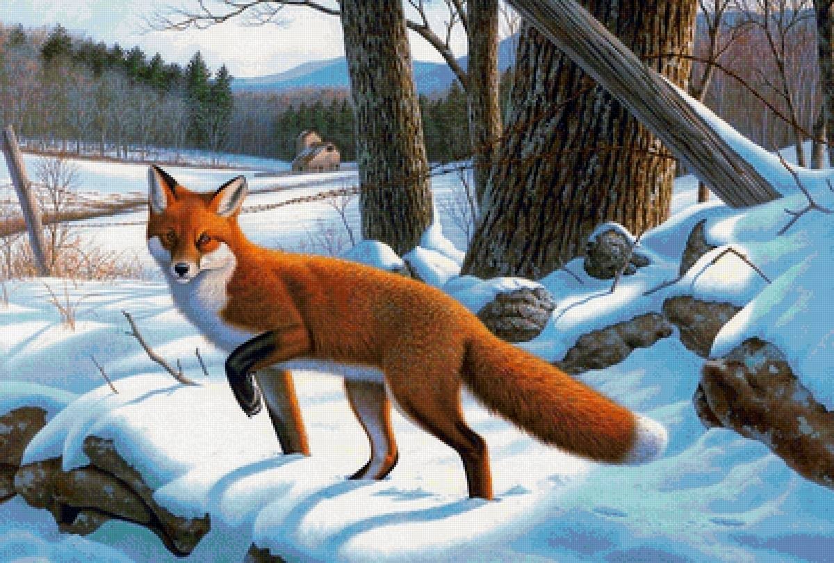 Дикие животные зимой