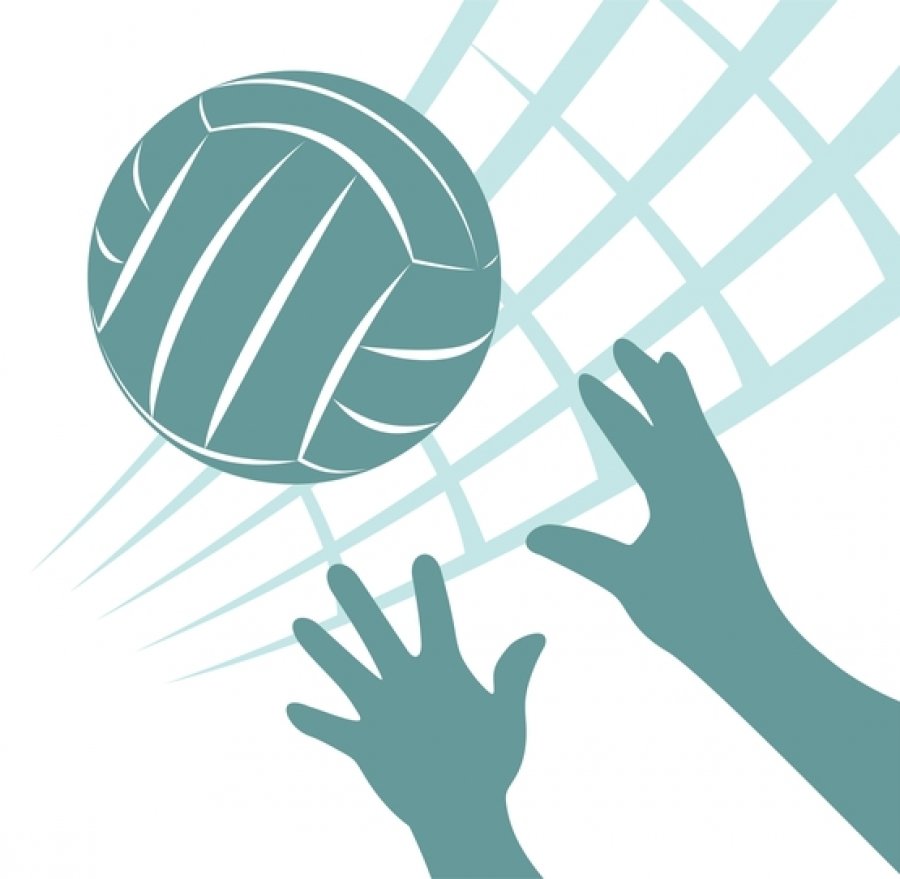 Волейбол на белом фоне