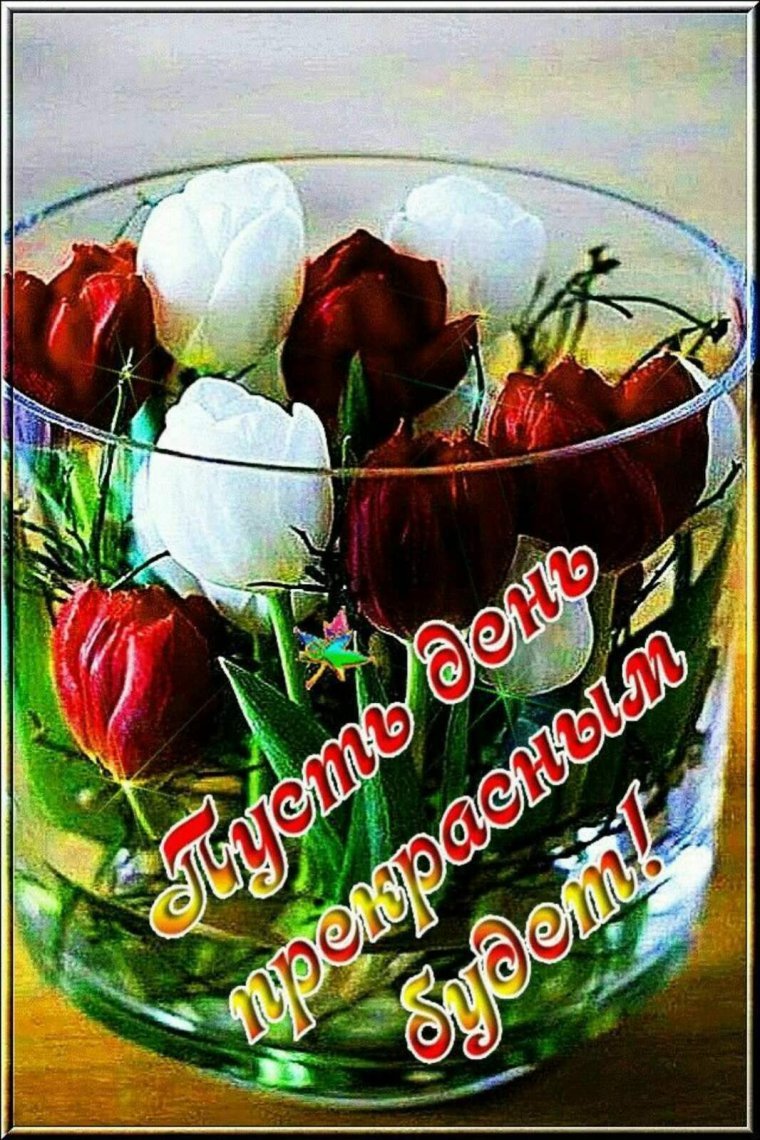 Хорошего дня счастья и здоровья